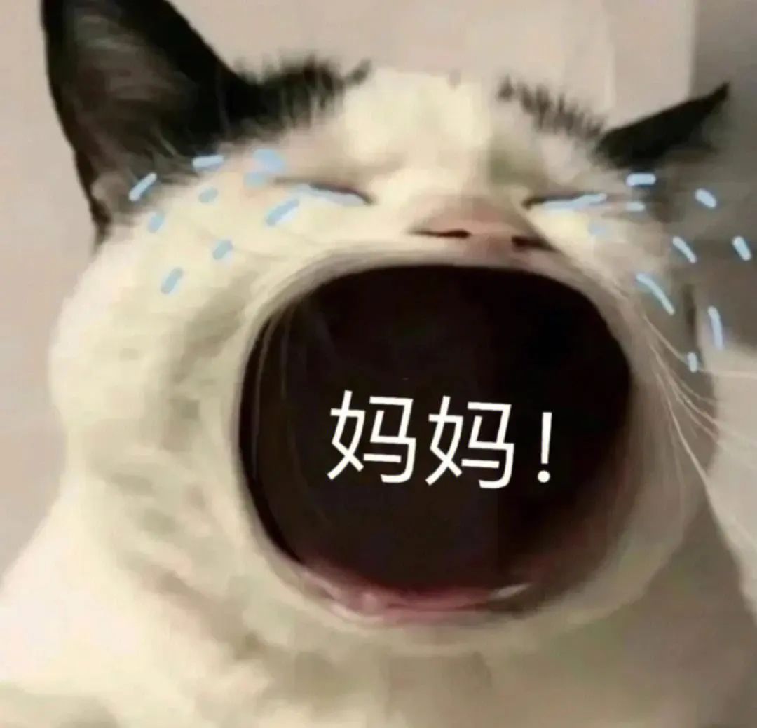 DƬ